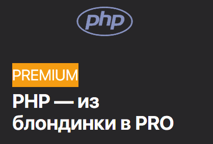 [AreaWeb] Михаил Протасевич PHP — из блондинки в PRO (2020).png