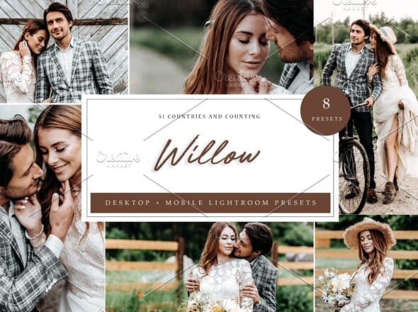 [Creativemarket] 8 x Lightroom Presets, Willow (2021).jpg