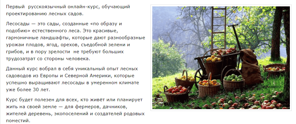 elena-arifulina-proektiruem-lesnye-sady-2021.png