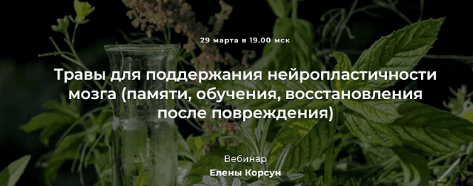  - Елена Корсун. Травы для поддержания нейропластичности мозга (памяти, обучения, восстановлен...png