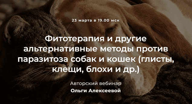  - Ольга Алексеева. Фитотерапия и другие альтернативные методы против паразитоза собак и кошек...png