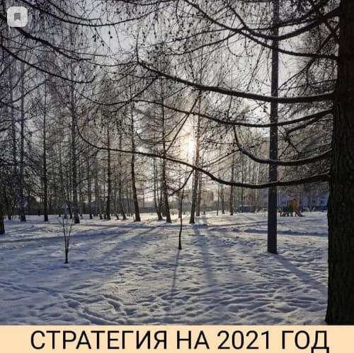 [Private Investor] Александр Петров - Стратегия на 2021 год.jpg