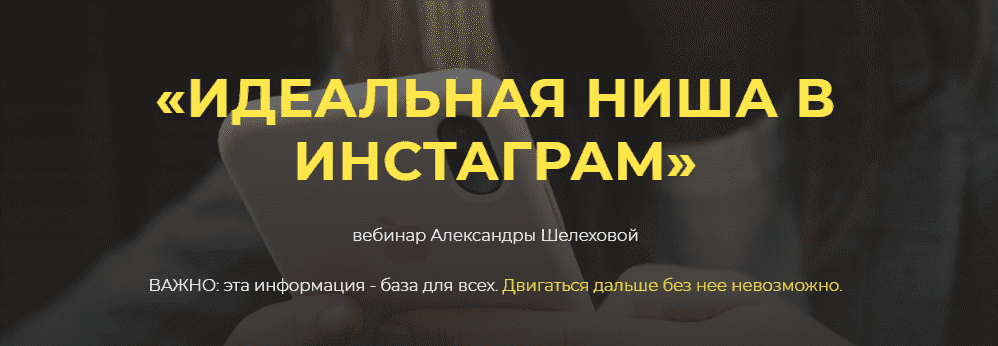 Скачать - Александра Шелехова. «Идеальная ниша в инстаграм» (2021).png