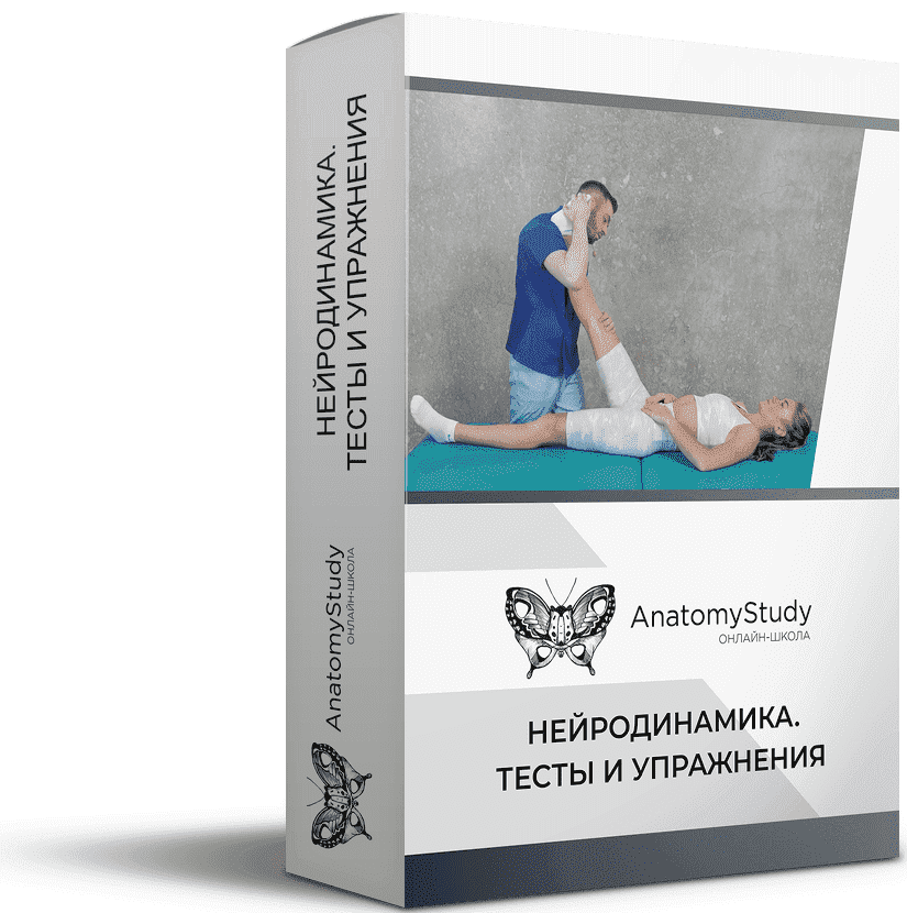 Скачать - Андрей Богатырев. Анатомия Нейродинамика. Тесты и упражнения (2021).png