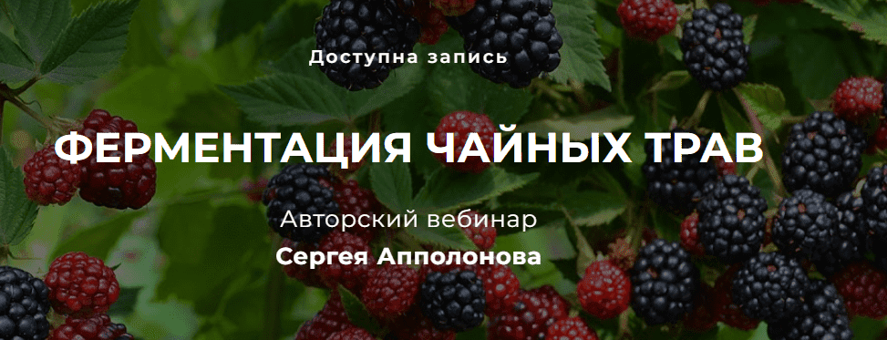 Скачать - Cергей Апполонов. Ферментация чайных трав (2022).png