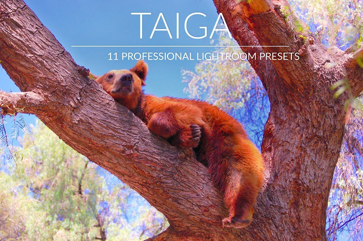 Скачать - Creativemarket. Taiga Lr Presets..jpg