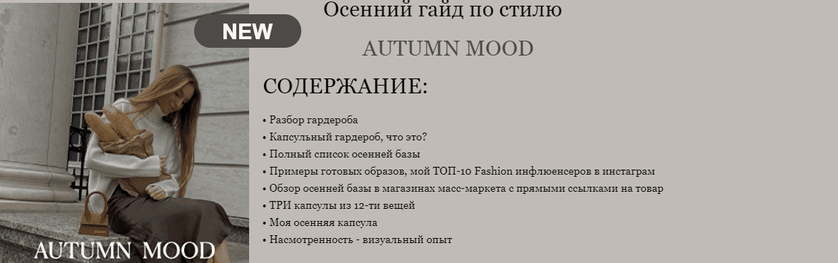 Скачать - Daria Ashihmina. Осенний гайд по стилю AUTUMN MOOD (2021).png