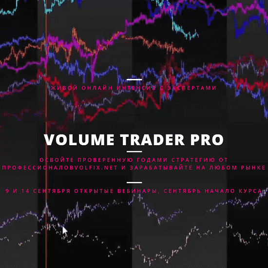 Скачать - Елена Сон, Геннадий Бурмистров. Volume Trader PRO (2021).png