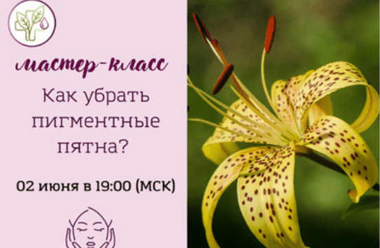 Скачать - Лилия Вирлан. Как убрать пигментные пятна (2022).png