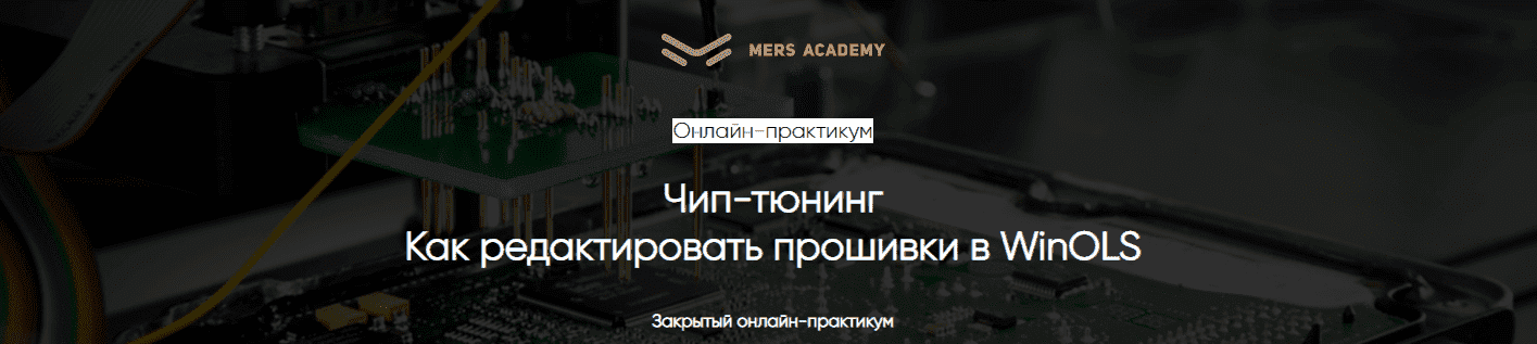 Скачать - Mers Academy. Чип-тюнинг. Как редактировать прошивки в WinOls..png