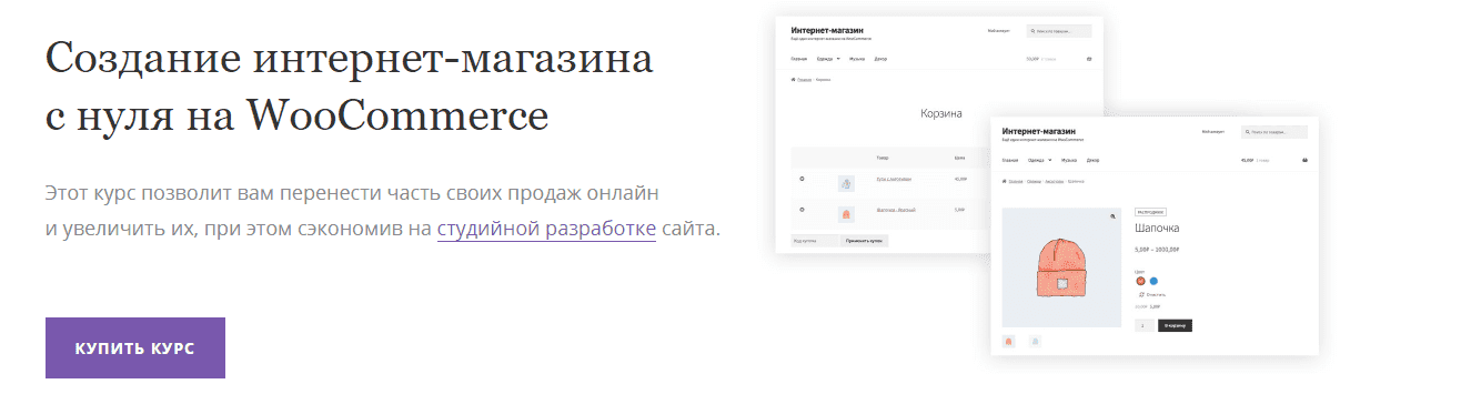 Скачать - Миша Рудрастых. Создайте интернет-магазин для вашего бизнеса.png