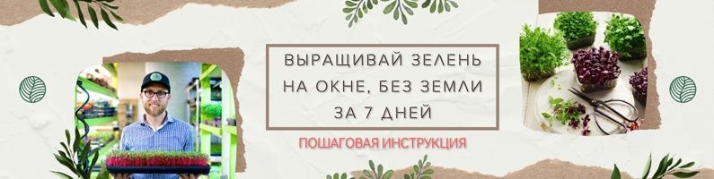 Скачать - Михаил Попов. Сити Фермер Свежая микрозелень у вас дома за одну неделю (2021).jpg