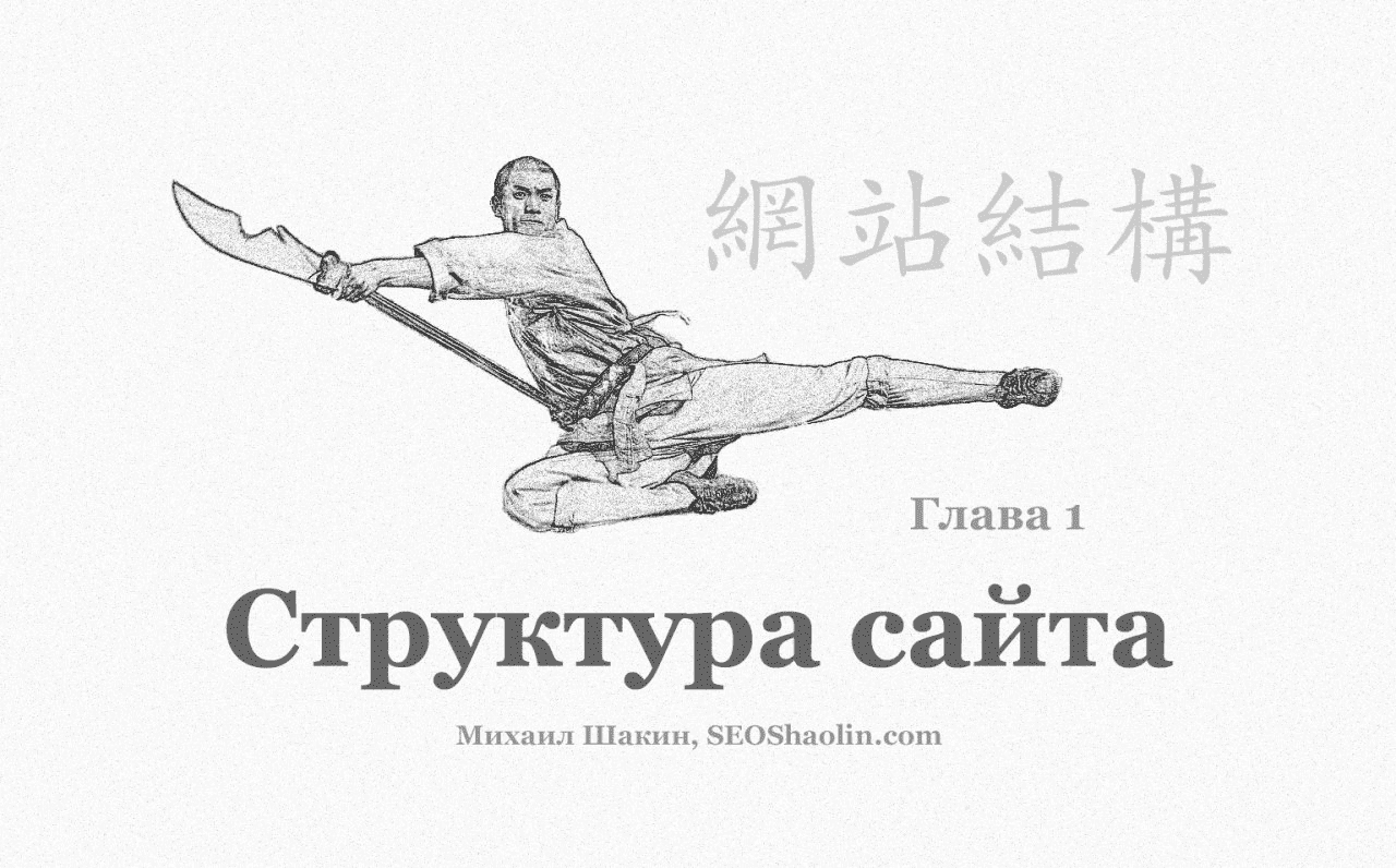 Скачать - Михаил Шакин. SEO Шаолинь (2022).png