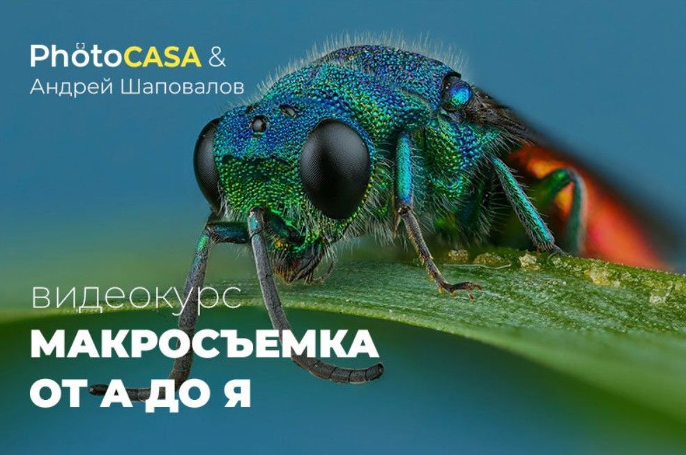 Скачать - Photocasa. Макросъемка от А до Я..jpg