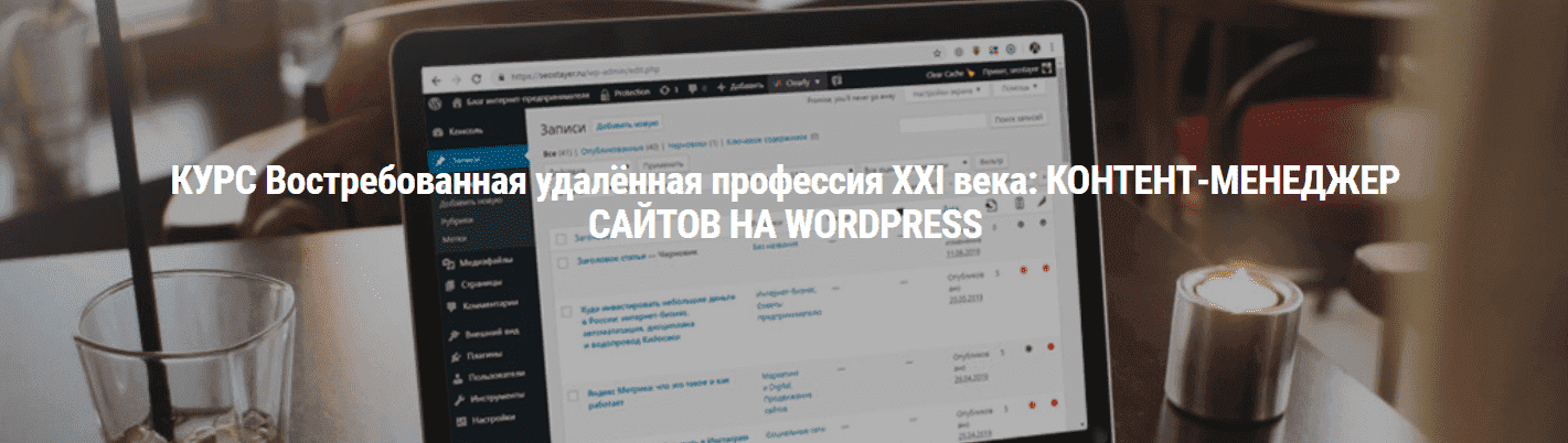 Скачать - Seostayer. Профессия контент-менеджер сайтов на Wordpress (2021).png