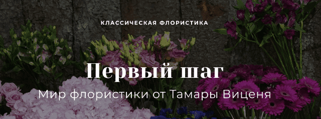 Скачать - Тамара Виценя. Первый шаг в мир профессиональной флористики..png