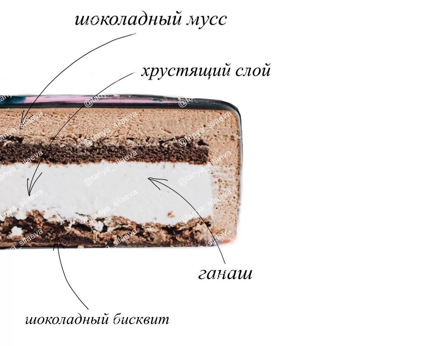 Скачать - Таня Силаева. Рецепты муссовых тортов (2021).jpg