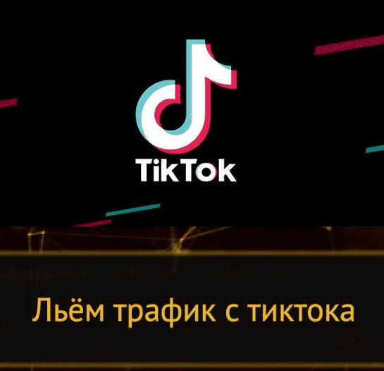 Скачать - ttmanyyy. Траффик из Тик-Тока (2021).png