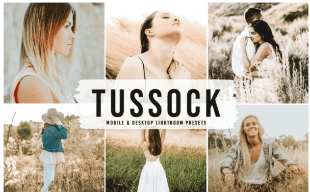 Скачать - Tussock Mobile & Desktop Lightroom Presets (2021).png