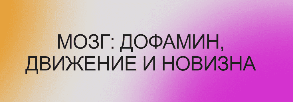 Скачать - Вячеслав Дубынин. Мозг дофамин, движение и новизна (2022).png