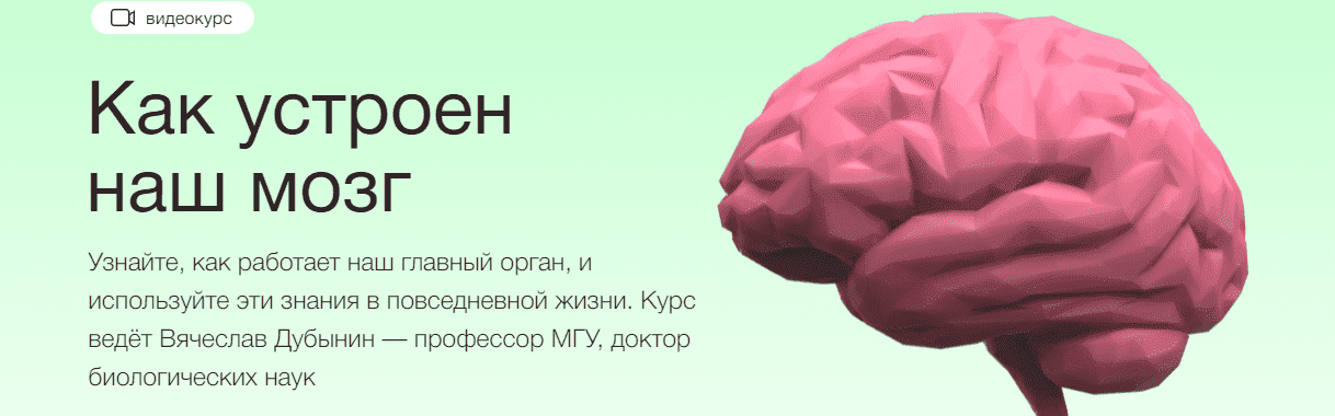 Скачать - Вячеслав Дубынин. Видеокурс Как устроен наш мозг (2020).png