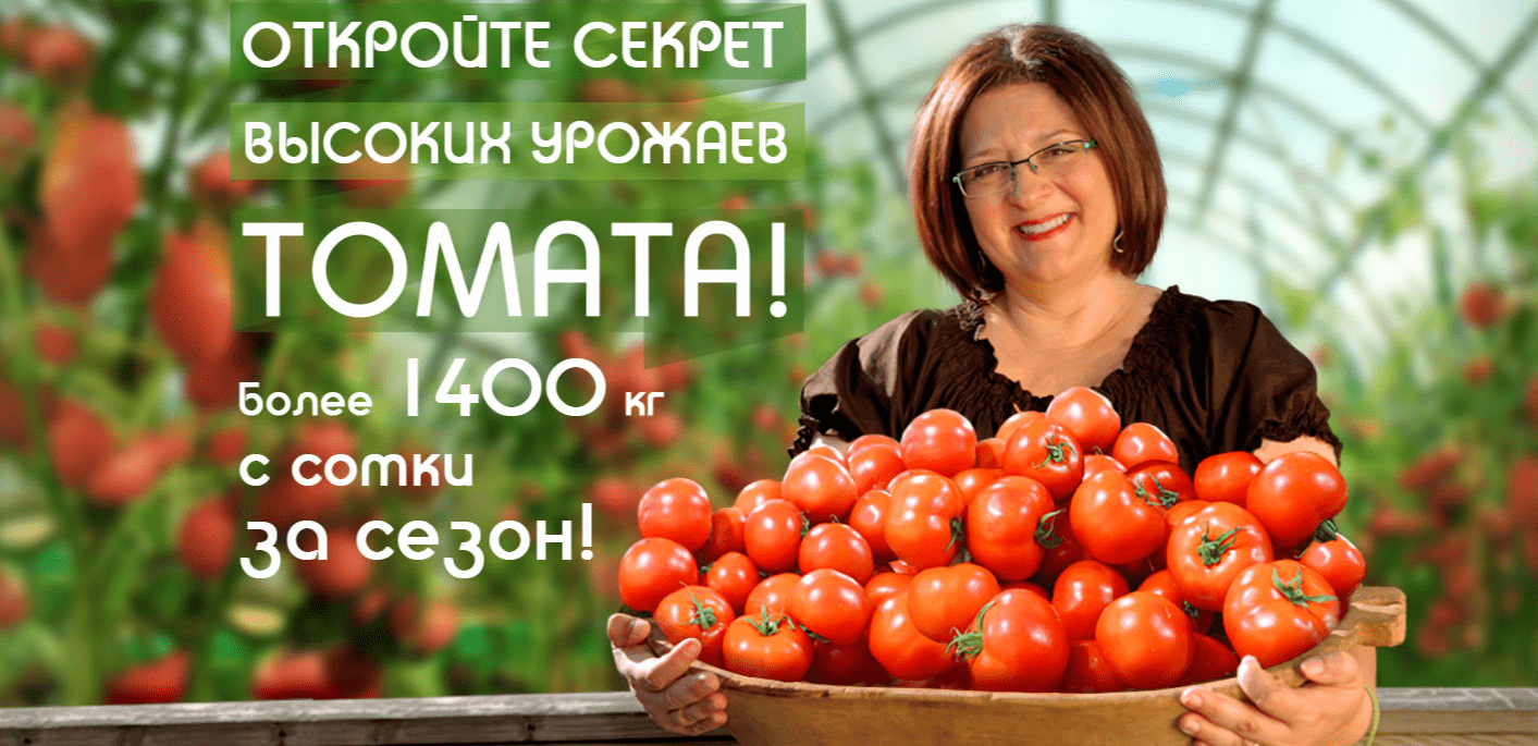 vladimir-matveev-vysokourozhajnoe-vyraschivanie-tomatov-ogurcy-kartofel-2021.png