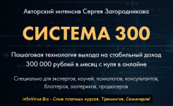 [Сергей Загородников] Система 300 (2021).png