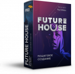 [Павел Уоллен] Пошаговое создание Future House трека с нуля в FL Studio 20 (2019).png