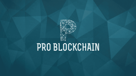 [Problockchain] Альты которые сделают Иксы Как выбирать проекты (2021).png