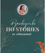 [Екатерина Алёшина] [bizcarusel] Руководство по stories. Тариф PRO (2021).png