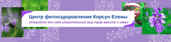 [Елена Корсун] Травы при остеохондрозе, позвоночных протрузиях и грыжах..png